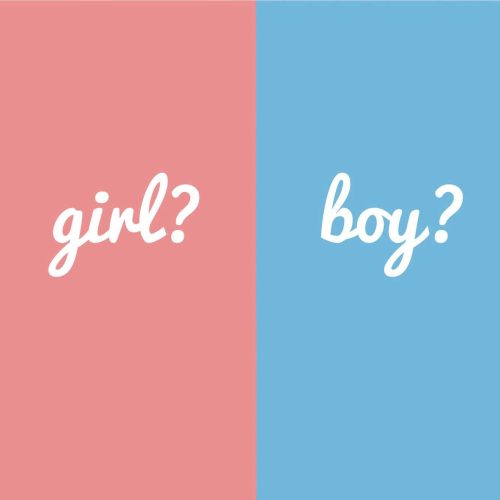 Gender Reveal Products